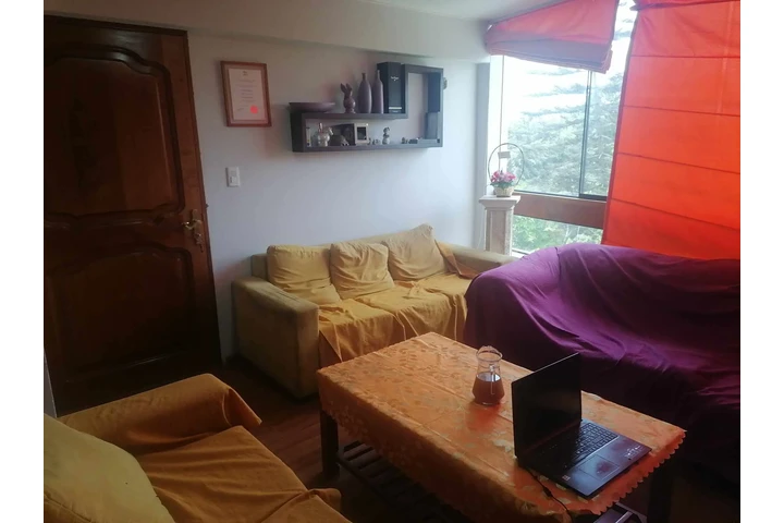 $250000 : VENDO DUPLEX SAN BORJA NORTE image 4