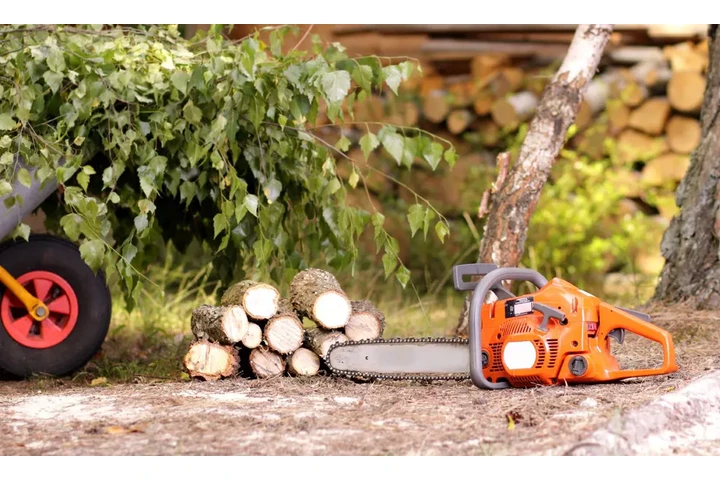 Tree Services image 5