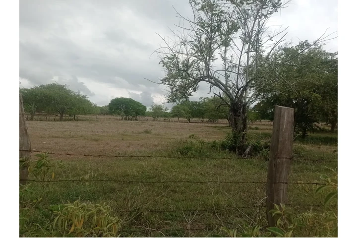 $85000000 : SE VENDE MAGNIFICO TERRENO image 2
