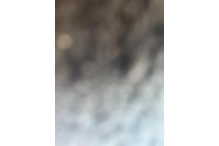 $38627 : Land Rover Discovery 2023 AW image 4