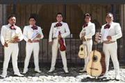 🎼MARIACHI TEQUILA DE JALISCO en Los Angeles