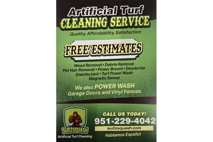 Limpieza de pasto Sintetico image 1