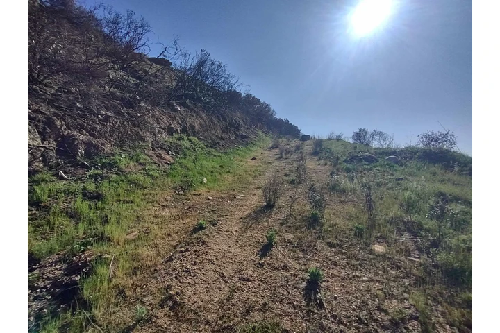 $27000 : Terreno de Rancho en Tecate image 7