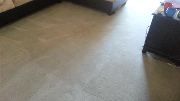 CARPET STEAM CLEANING image 3