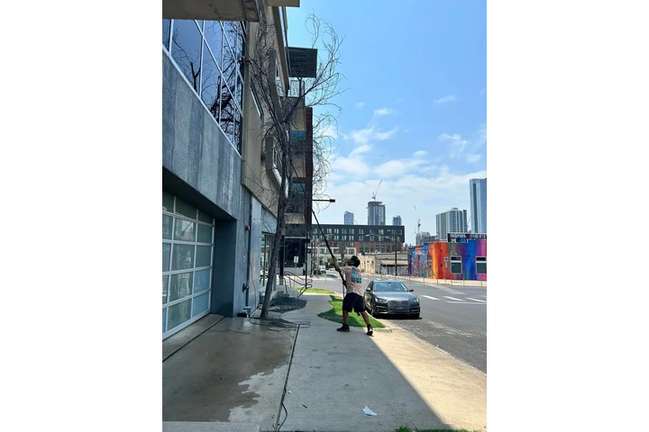 Roxanne's Cleaning Solutions image 2