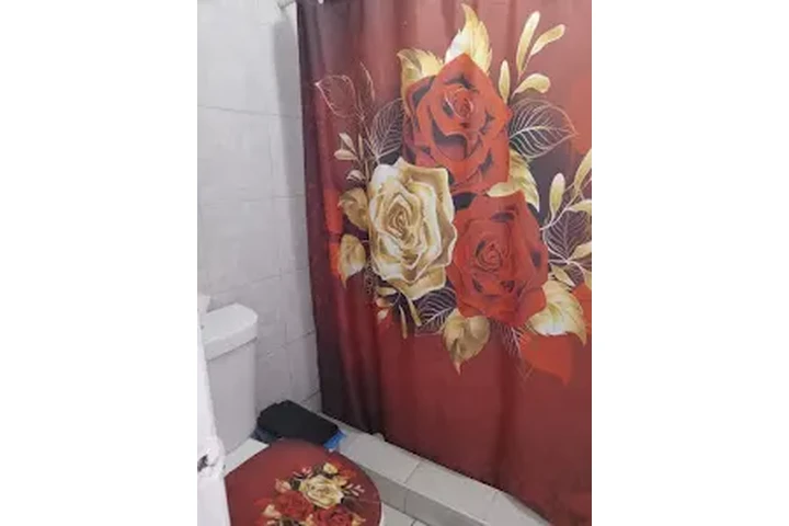 $1000 : MIAMI RENTO CUARTO AMUEBLADO image 6