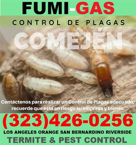 Fumi-Gas-Termite-Pest-Control image 3