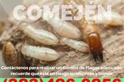 Fumi-Gas-Termite-Pest-Control thumbnail