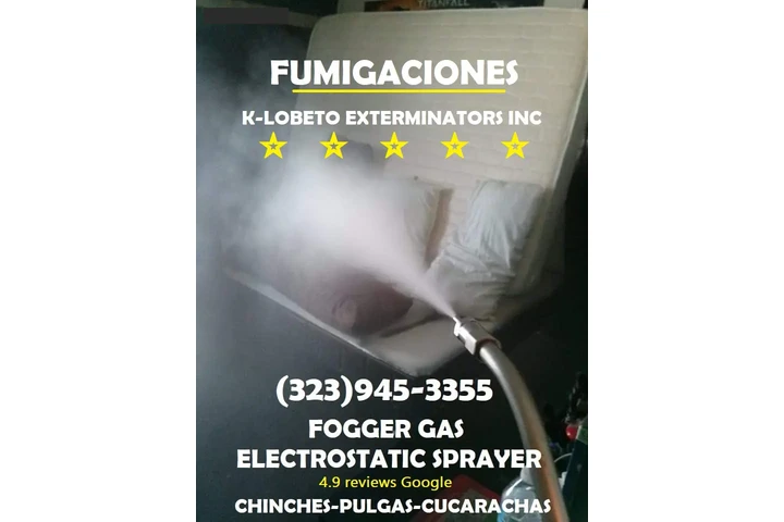 Urgent Pest Control - Same-Day image 6