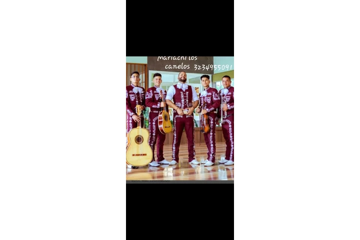 Mariachi los Canelos % image 1