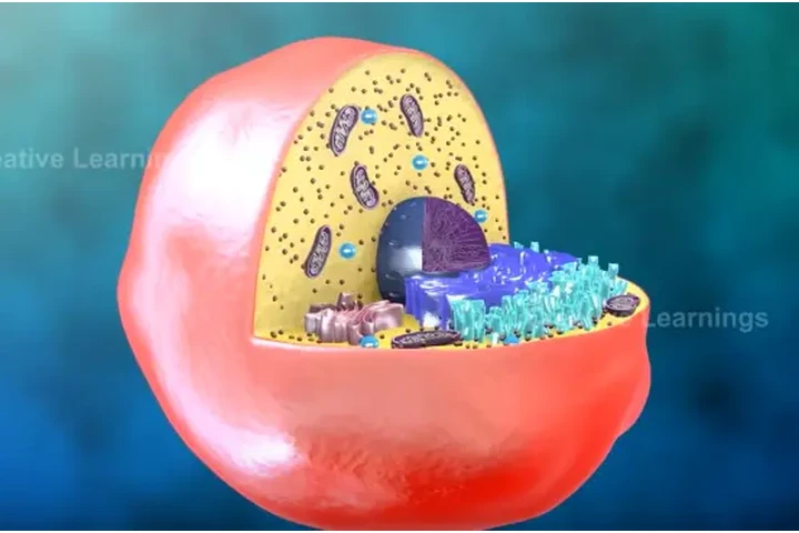 Clases de Bioquimica y Quimica image 3