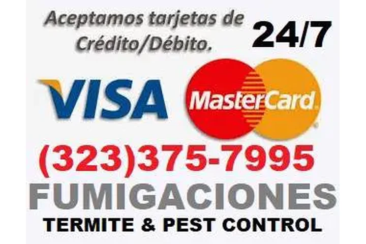 CONTROL PLAGAS LOS ANGELES image 5
