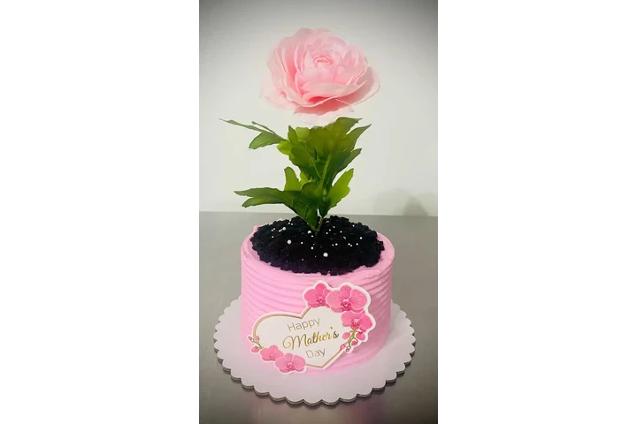 Pasteles para toda ocasion image 6