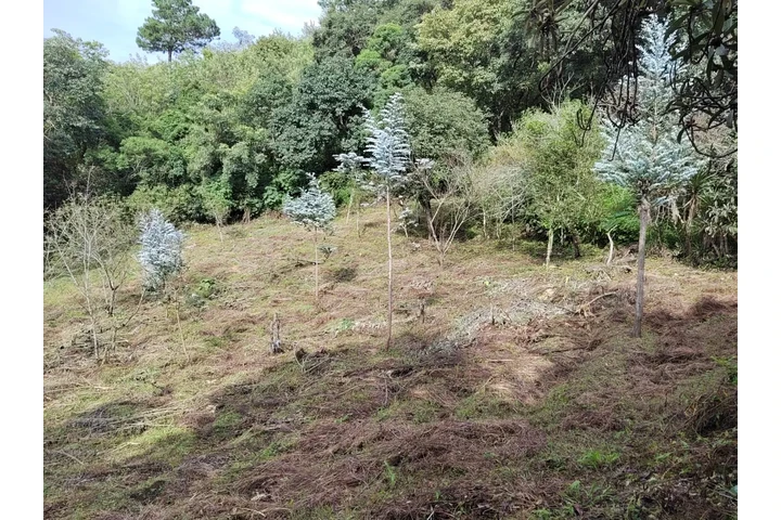 $1 : Venta Terreno Antigua image 3
