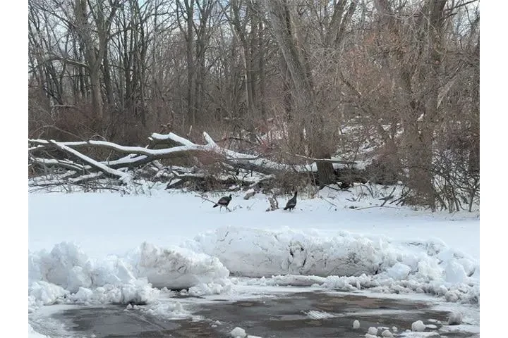 $25000 : Ford Explorer 2023 AWD XLT 4 image 8