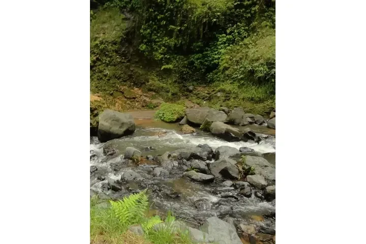 🔮✨ ANCIANO INDIO DEL AMOR 🔮✨ image 4