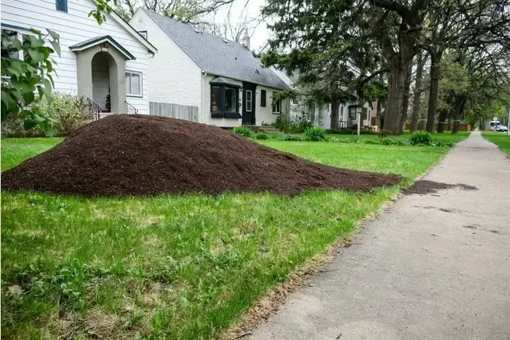 REMOVEMOS BASURA Y ESCOMBROS image 9