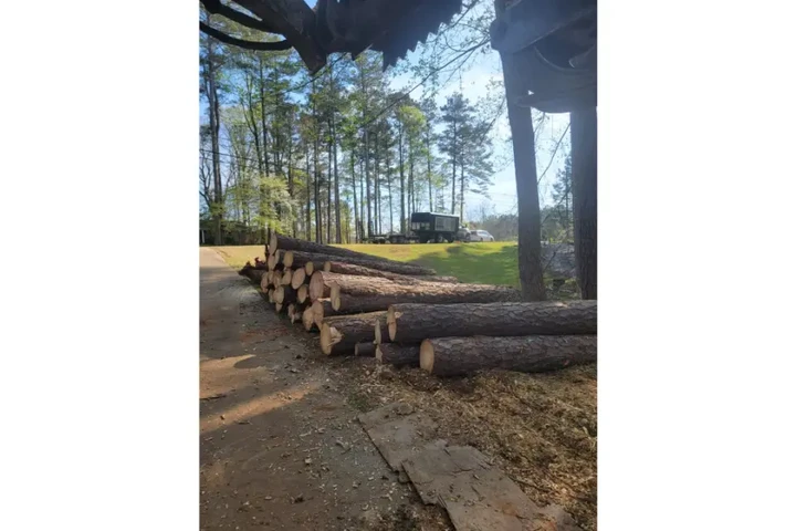 Mora's Tree Service LLC image 8