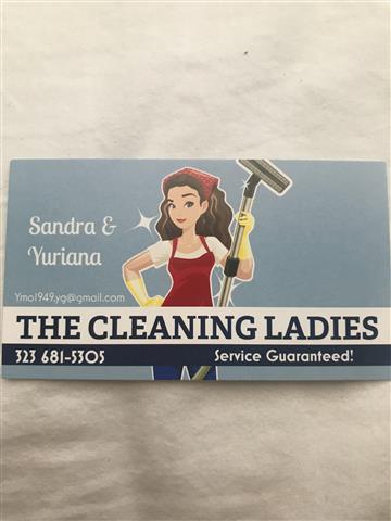 The Cleaning Ladies image 1