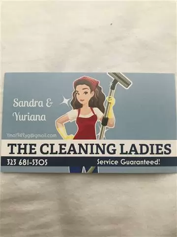 The Cleaning Ladies image 1