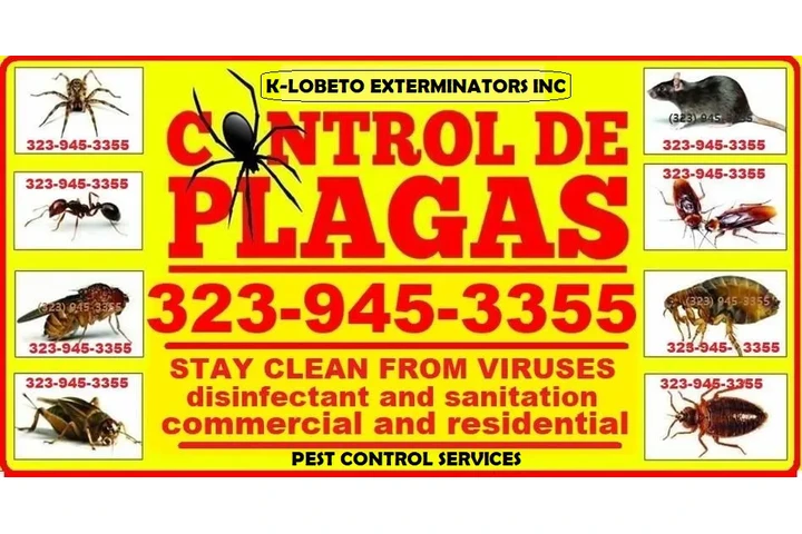 PEST CONTROL MAYWOOD ALL AREAS image 7