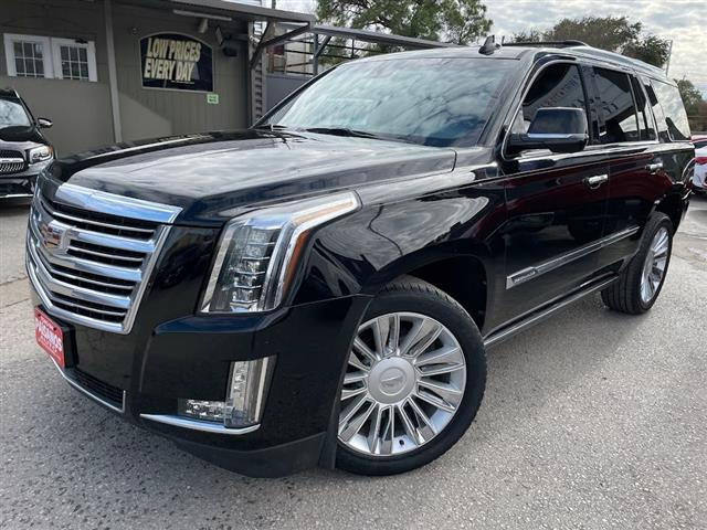 2017 Escalade 4WD 4dr Platinum image 1