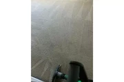 CARPET CLEAN LA MEJOR LIMPIEZA thumbnail