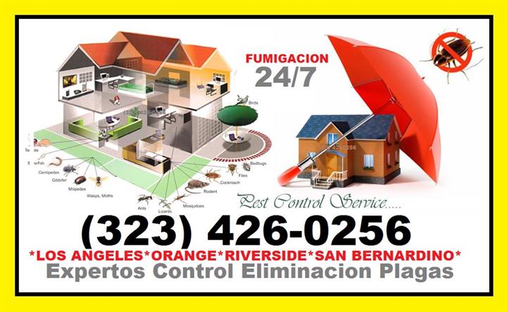 CONTROL Y PREVENCION EN PLAGAS image 1