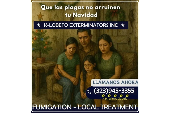 Fumigaciones Navideñas 2025.- image 6