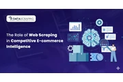 E-commerce Intelligence en Houston