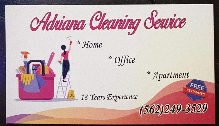 Adriana cleaning service image 1