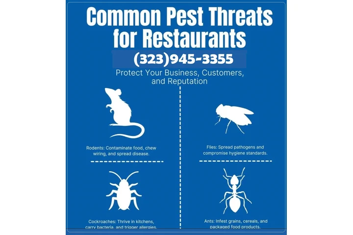 PEST CONTROL SERVICES 24/7.- image 10