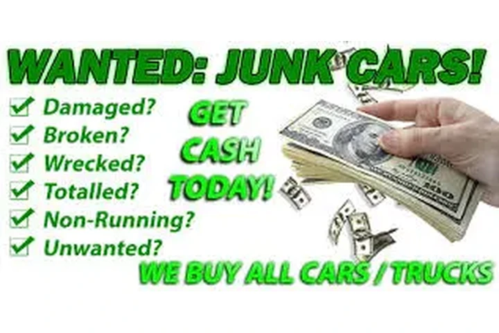 Cash por junk image 1