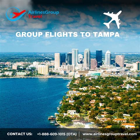 Group Flights to Tampa image 1
