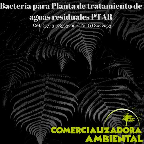 Bioenzimático para Plantas image 1