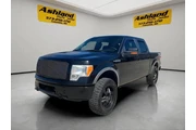 $10900 : 2010 F-150 FX4 thumbnail