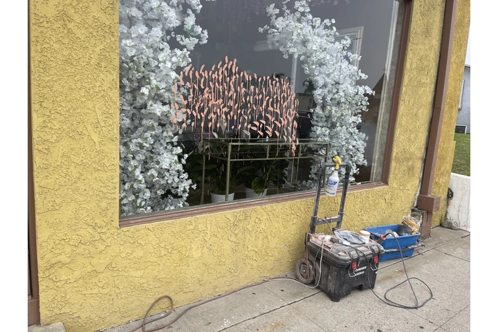 Limpieza de graffitis image 3