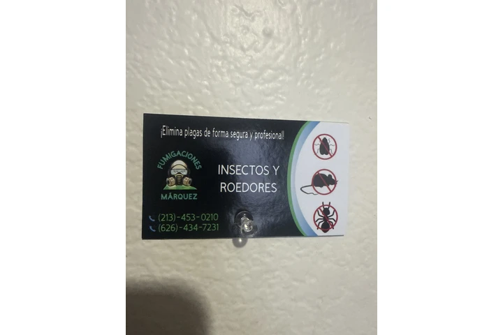 Fumigaciones image 2