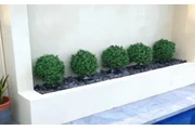 Artificial Topiary Shrub (Hedy en Australia