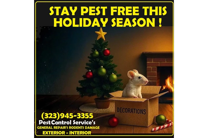PEST CONTROL MAYWOOD ALL AREAS image 1