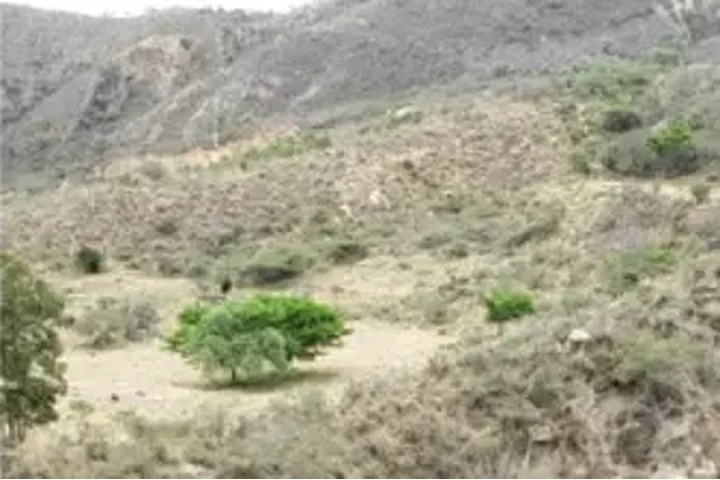 $60000000 : terreno de  cuatro hectares image 1