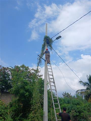 Instalaciones eléctricas alfre image 3