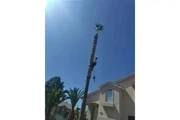 Servicios de jardinería thumbnail