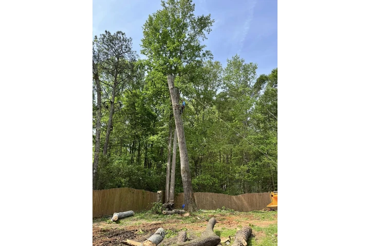 MG Tree Services LLC image 3