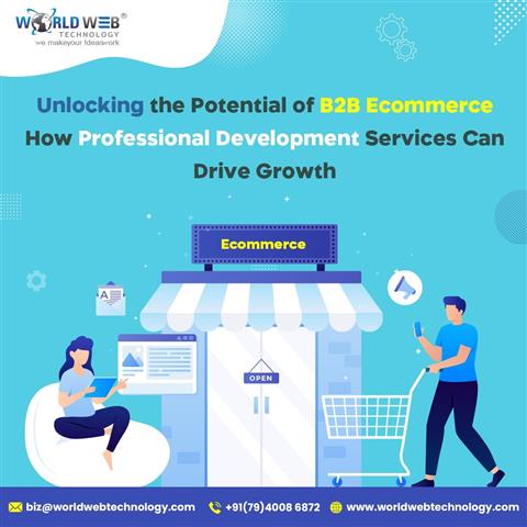 Potential of B2B Ecommerce image 1