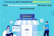 Potential of B2B Ecommerce en Wilmington