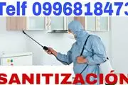 FUMIGACIONES PARA BACTERIAS