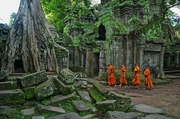 Visit Cambodia in December en London