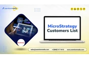 MicroStrategy Customers List en Kingston