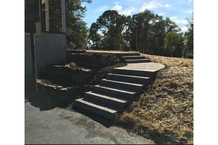 Tree One Experts image 8